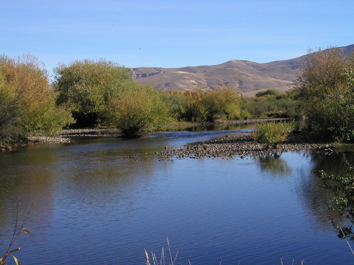 Terreno Venta Junin de Los Andes 2