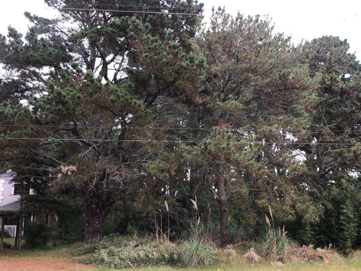 Venta - Lote - Costa del Este 2