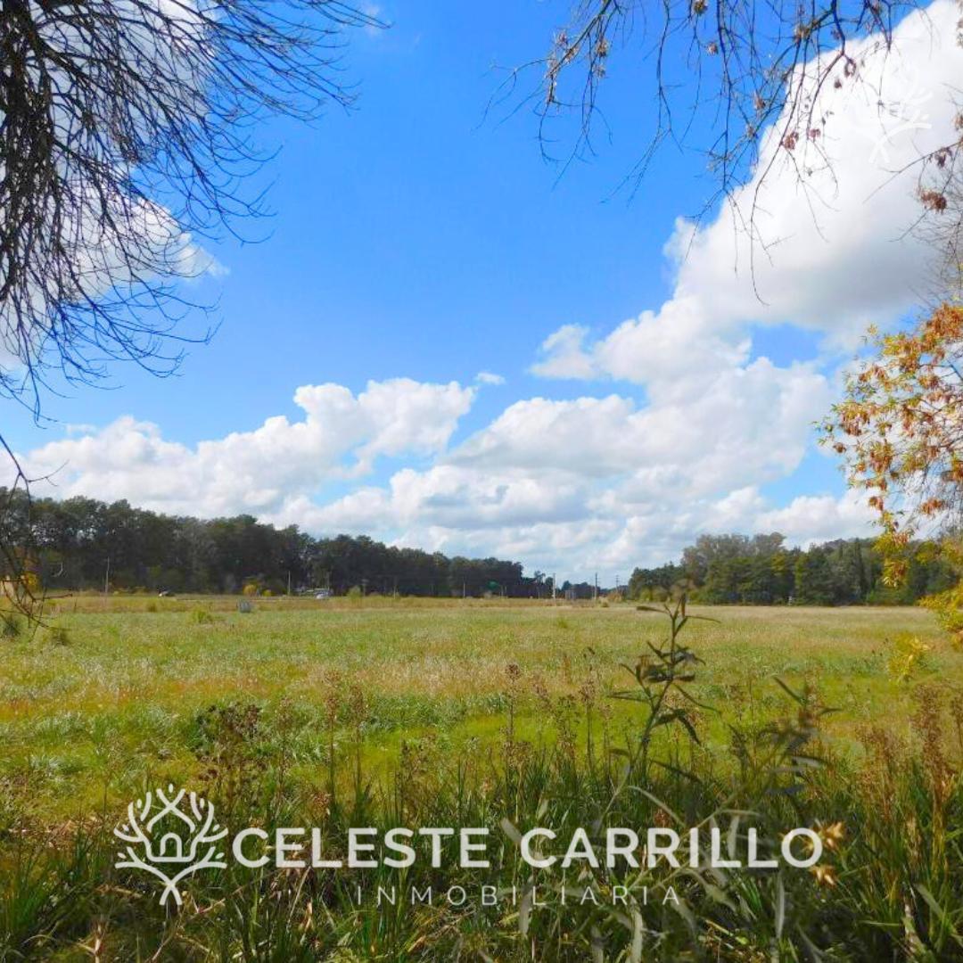Venta - Lote - Terreno en Remanso - Exaltación de la Cruz