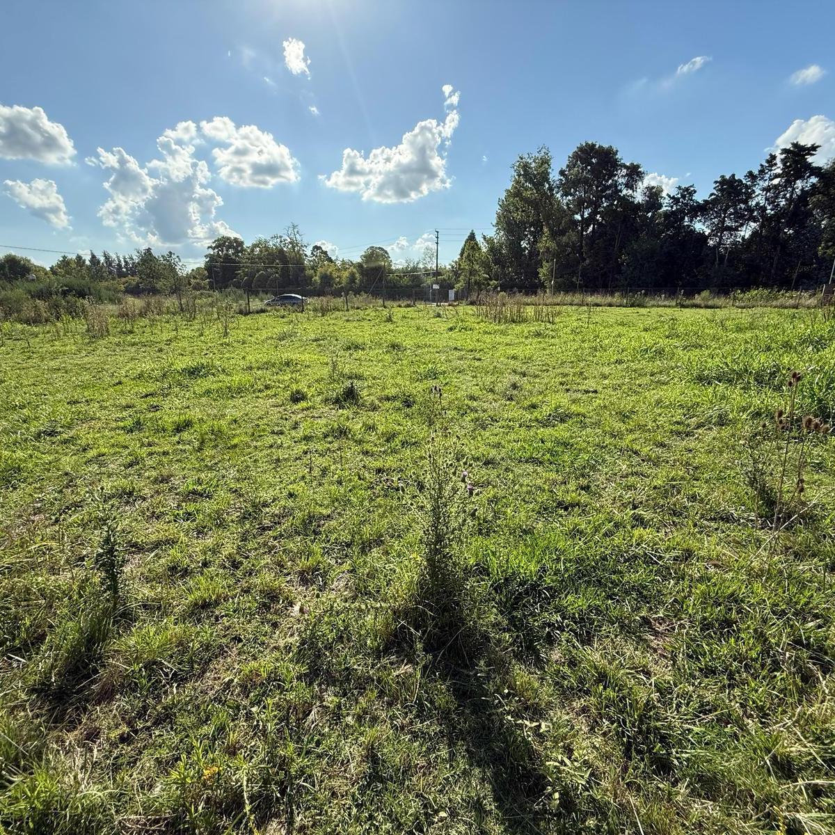Venta - Lote - Barrio El Remanso - Exaltación de la Cruz