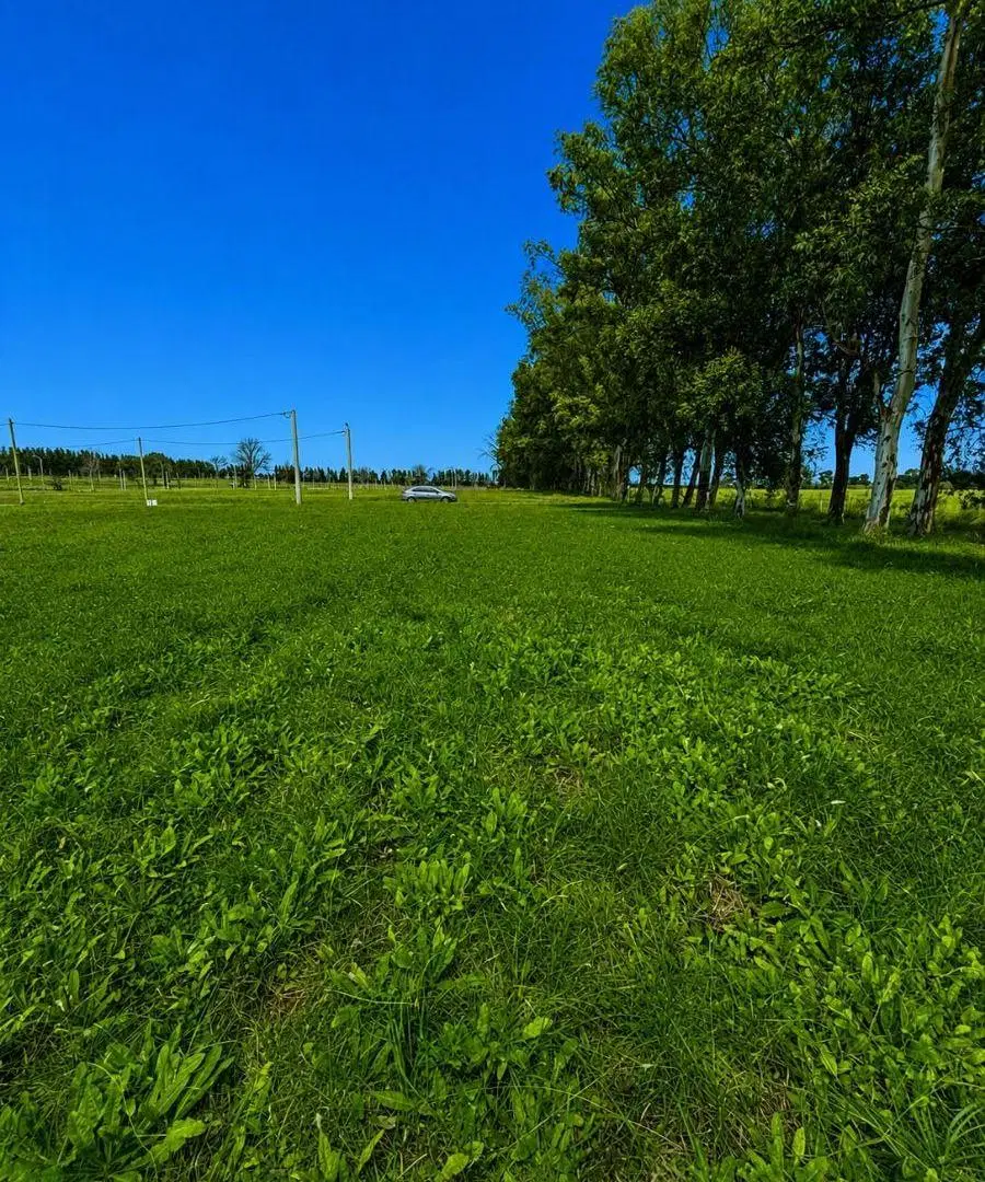 Terreno a la venta, Praderas de cardales II, Alto Los Cardales. 4