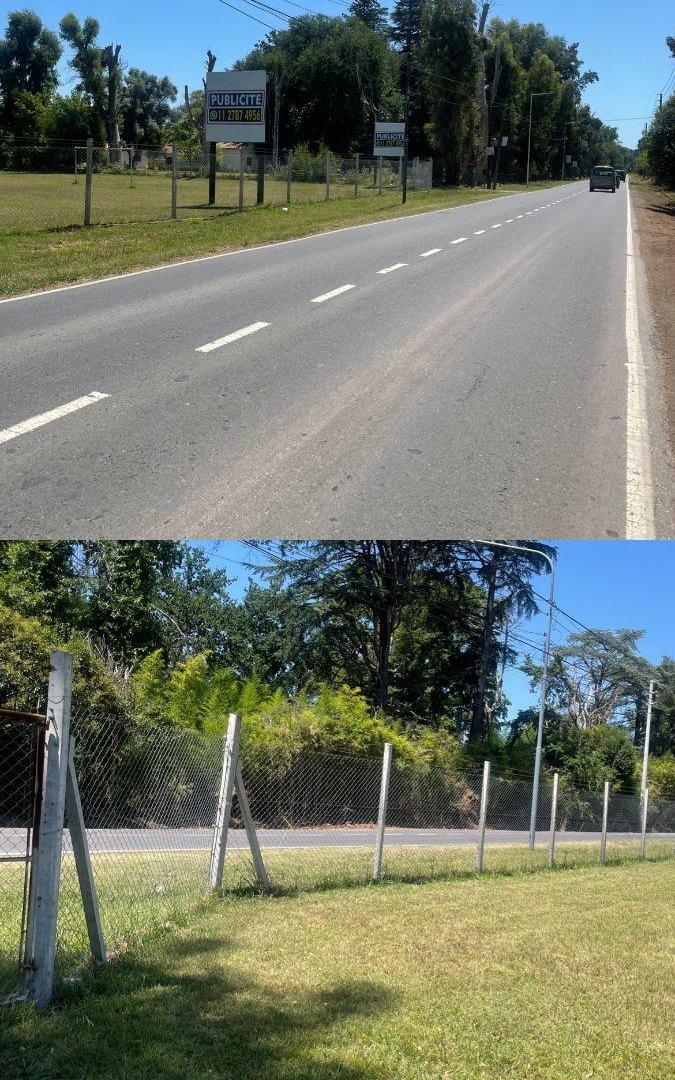 Foto de COMERCIAL ALTO TRÁNSITO, imagen 5