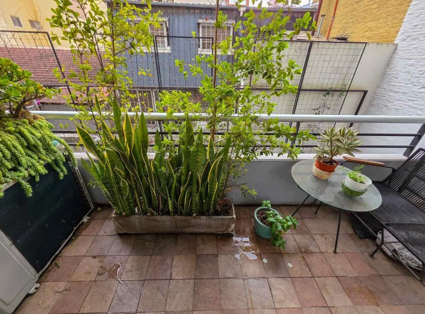 VENTA 2 AMBIENTES VILLA URQUIZA BALCON Y AMENITIES 5