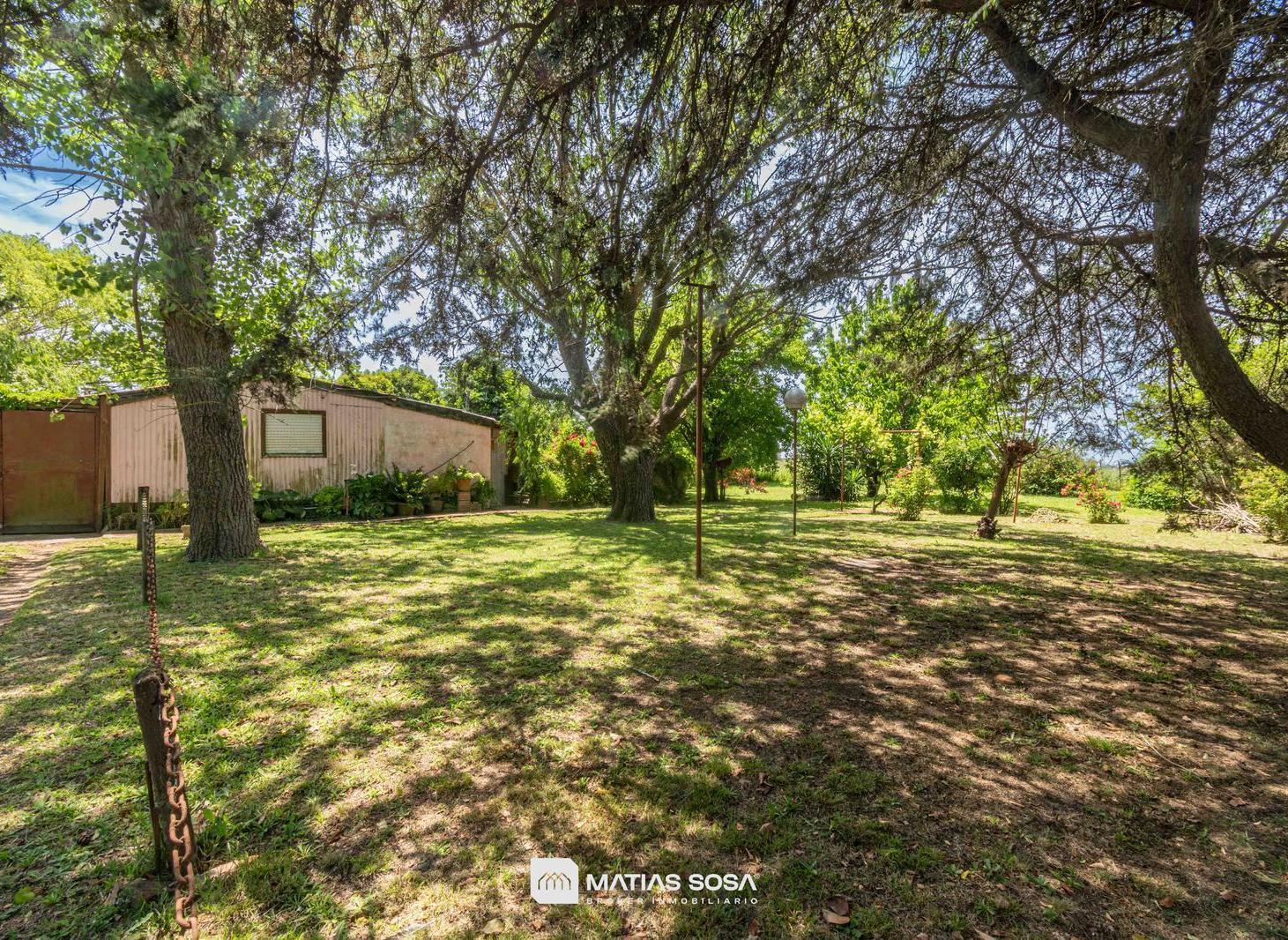 Foto de Venta - Campo - 5 hectáreas - Frutales, imagen 3