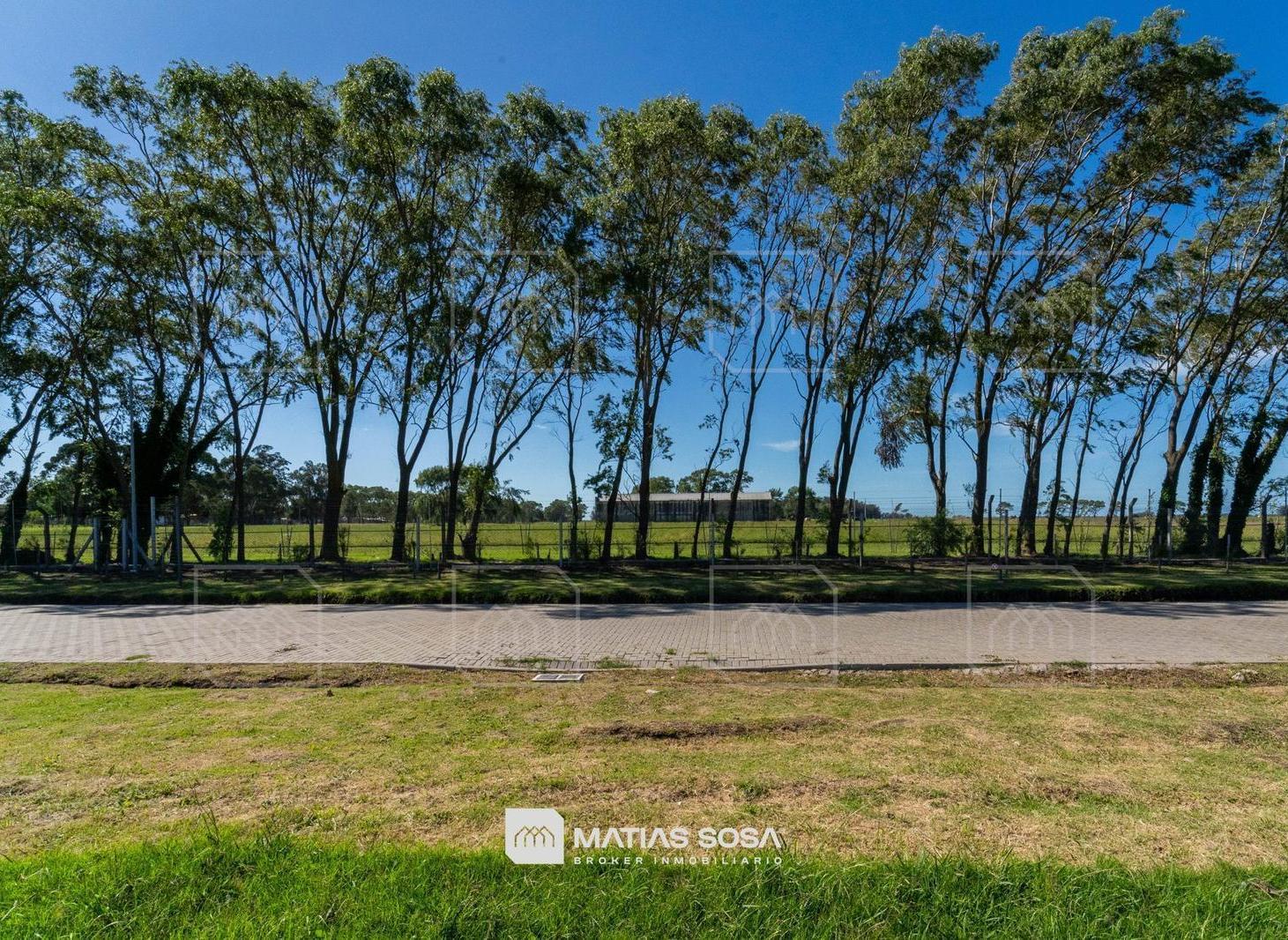 Foto de Lote de 695 m² en venta en Developer Park - Bio 1, imagen 4