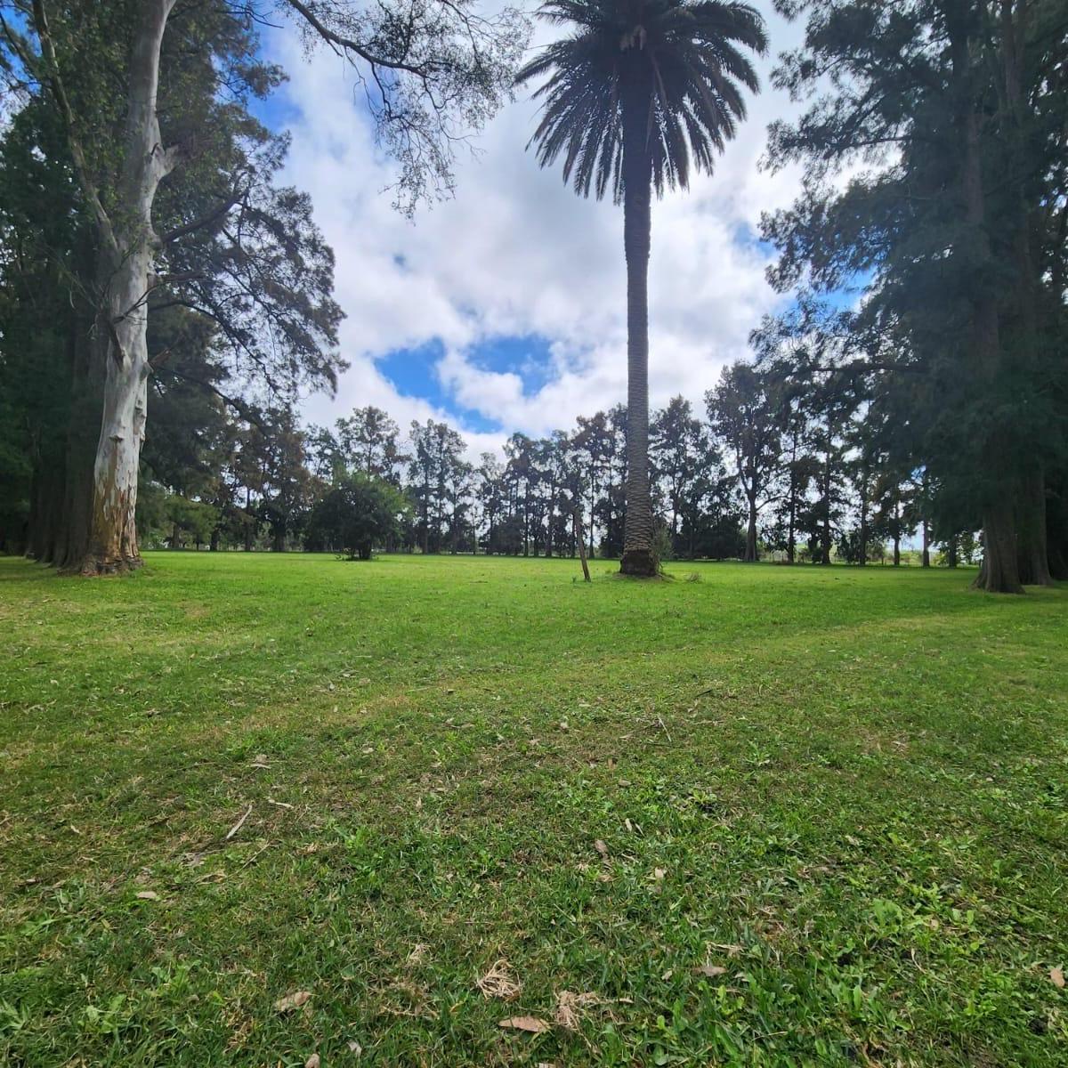Fracción de 22 Ha a La Venta en Brandsen 2