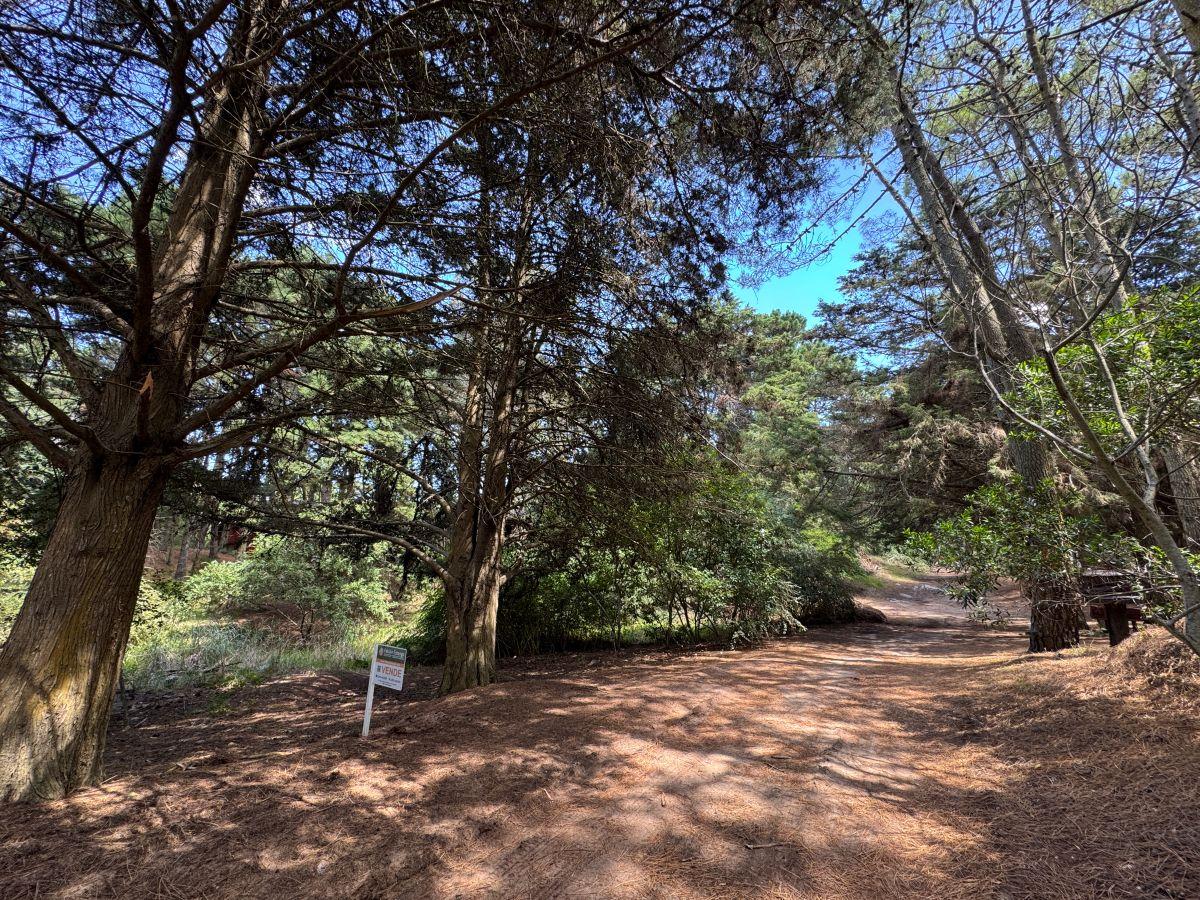 Foto de Lote residencial a la venta - Mz 6 Lote 24 - en Mar de las Pampas, imagen 5