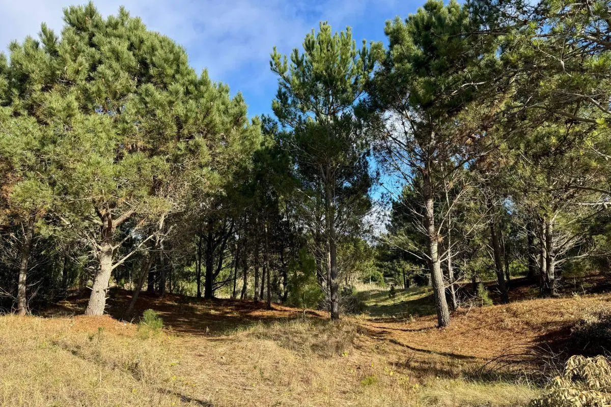 Preventa - Lotes en venta con financiación en Las Gaviotas 2