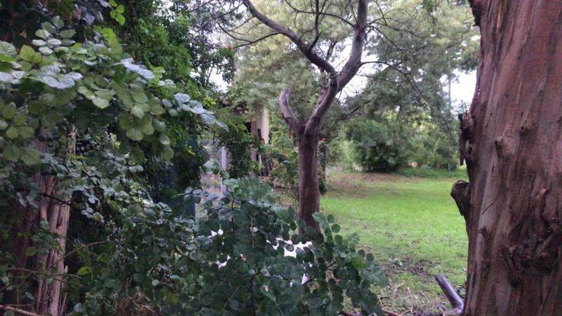 Retasado!venta Lote de 17,70 X 43,30 Forestado Rivas 4500 U$s 285.000 3