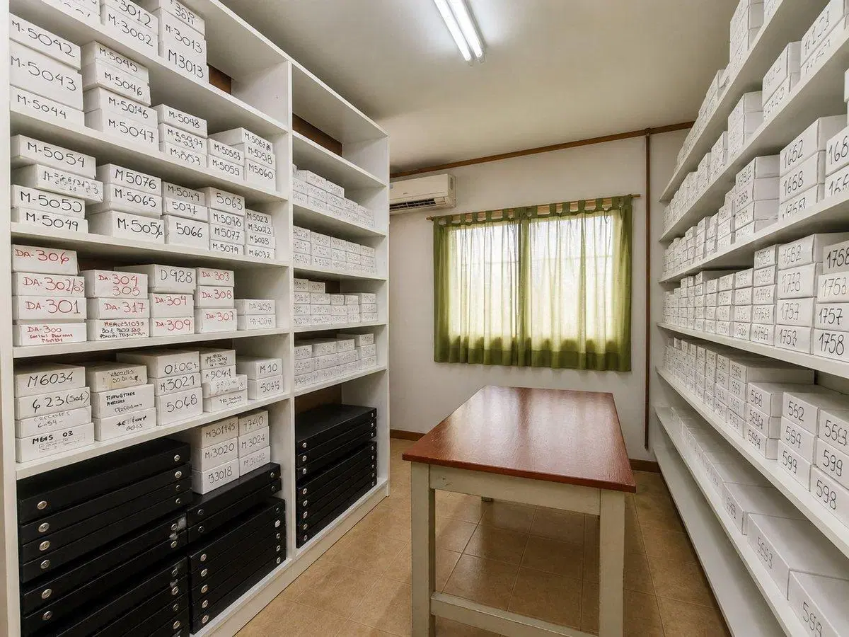 VENTA DEPARTAMENTOS + LOCAL PB A/C A REFAC BECCAR 3