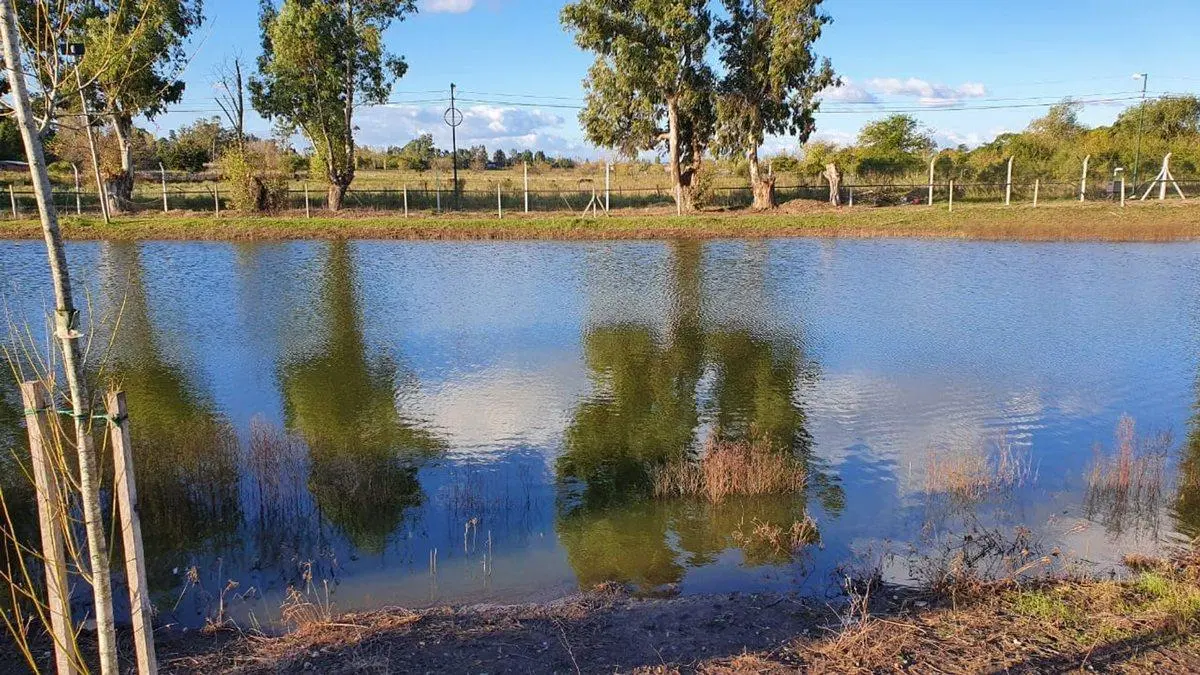 Venta Terreno 563 m2 Pilar Del Este Santa Emilia 5