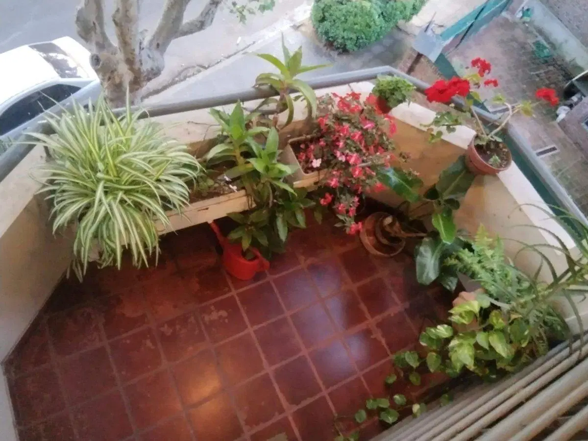 Venta 4 Amb Duplex C/quincho y terraza La Lucila 3