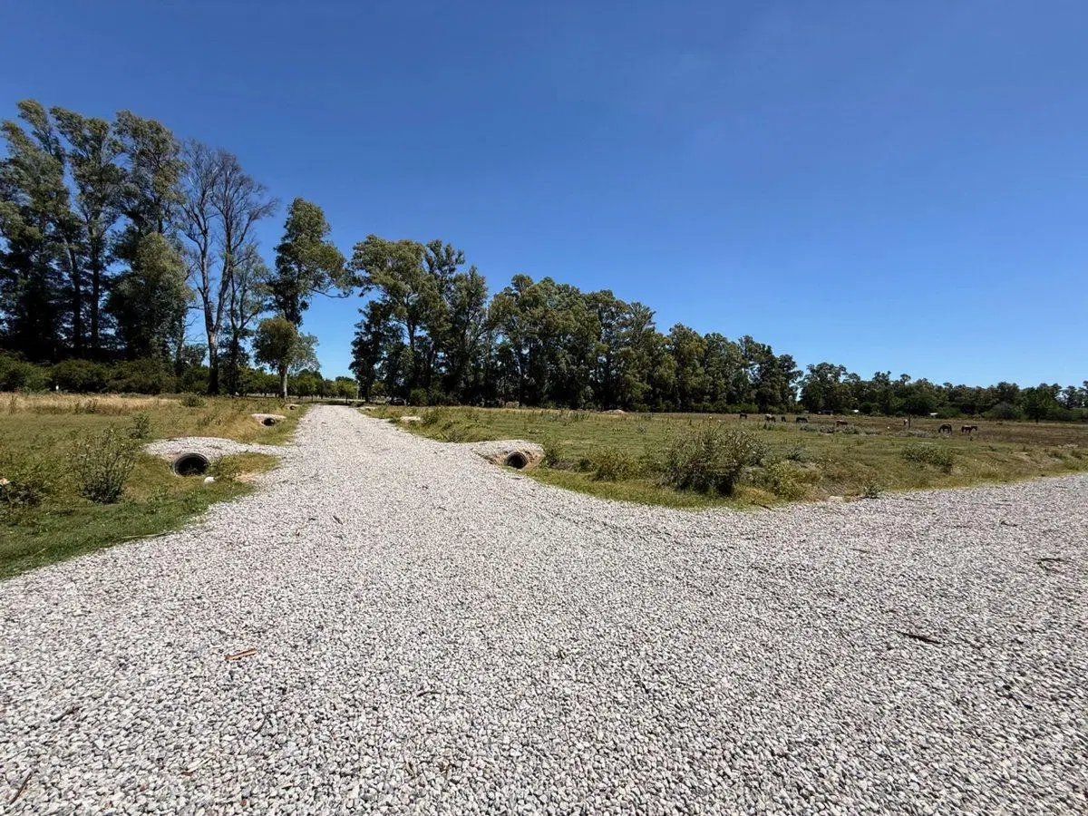 Lote en venta en Plomer 1195 m2 Escriturable 5