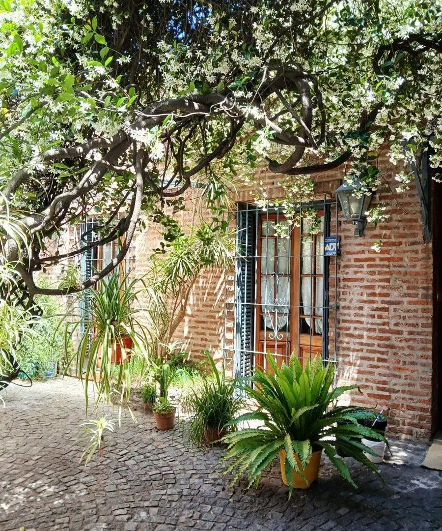 VENTA CASA LOTE PROPIO 6 AMB SAN FERNANDO + JARDIN 3