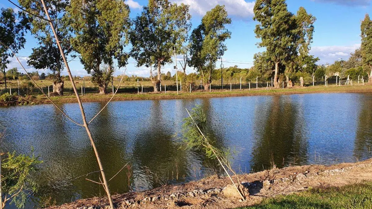 Venta Terreno 563 m2 Pilar Del Este Santa Emilia 5