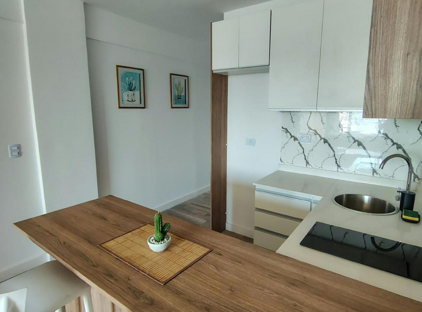 Foto de ALQUILER MONO A ESTRENAR FULL AMENITIES, imagen 2