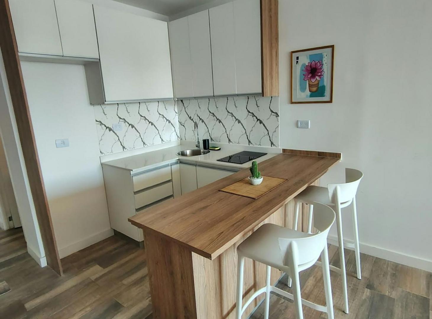 Foto de ALQUILER MONO A ESTRENAR FULL AMENITIES, imagen 4