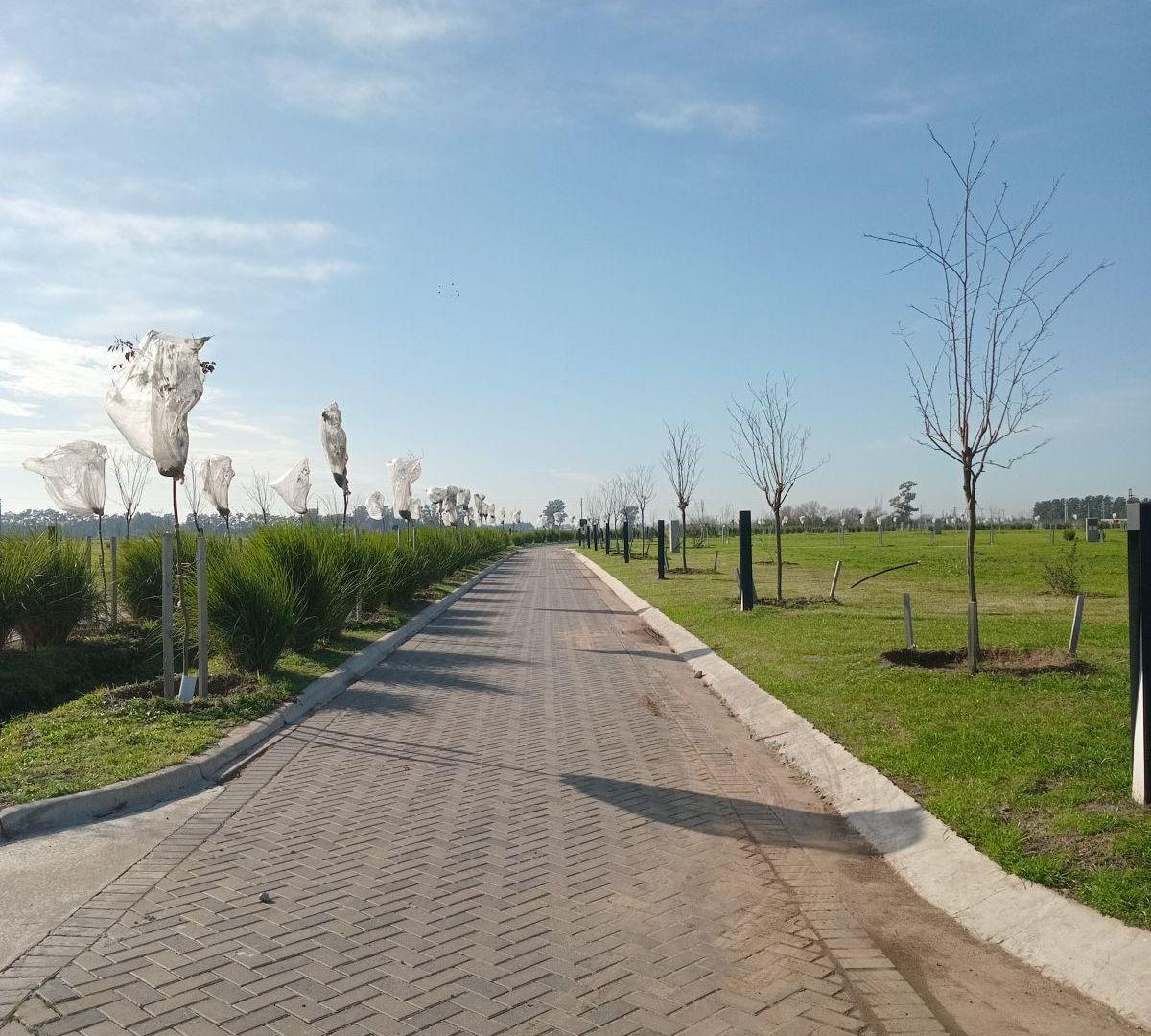 Foto de Barrio Alea - General Lagos - Terreno 509mt2, imagen 3