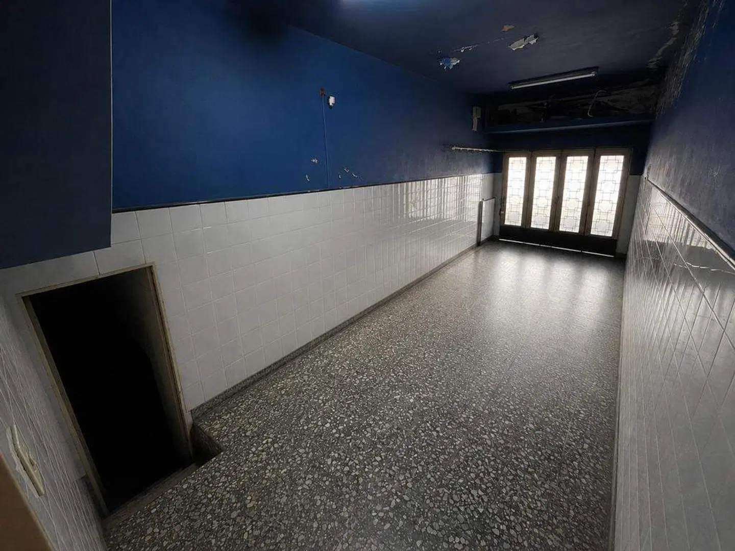 GENÉTICA PRIVILEGIADA monumental casona de los años setenta 8