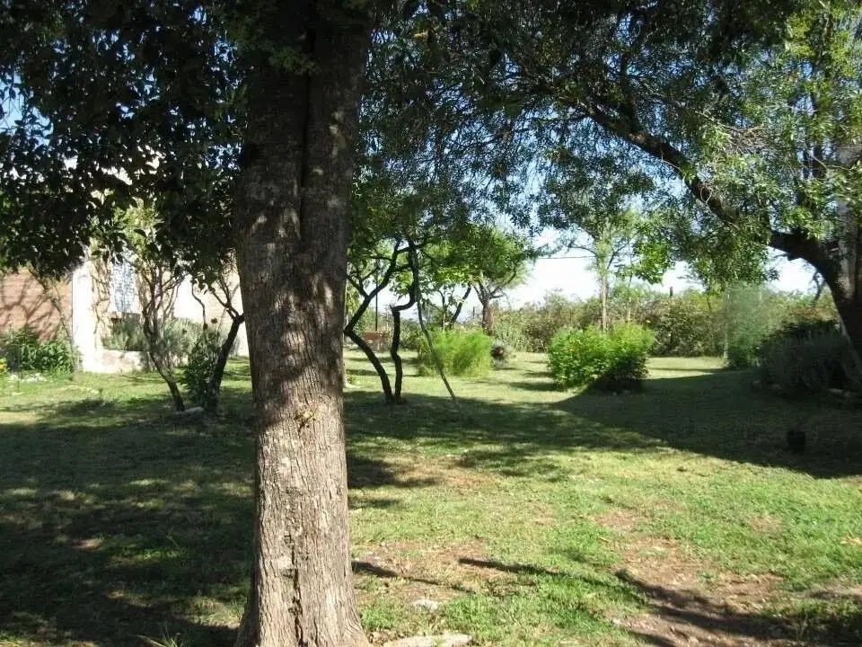 COMPLEJO DE 3 CABAÑAS EN UN TERRENO CON PILETA EN SANTA MÓNICA/CÓRDOBA 4