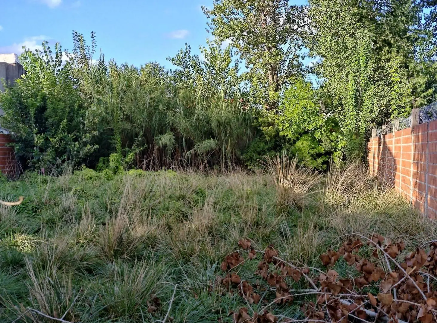 Terreno Baldio en Virrey del Pino 4