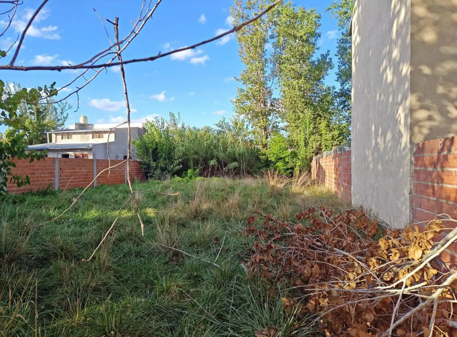 Terreno Baldio en Virrey del Pino 3