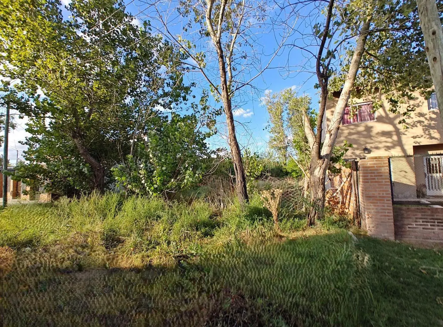 Terreno Baldio en Virrey del Pino 1
