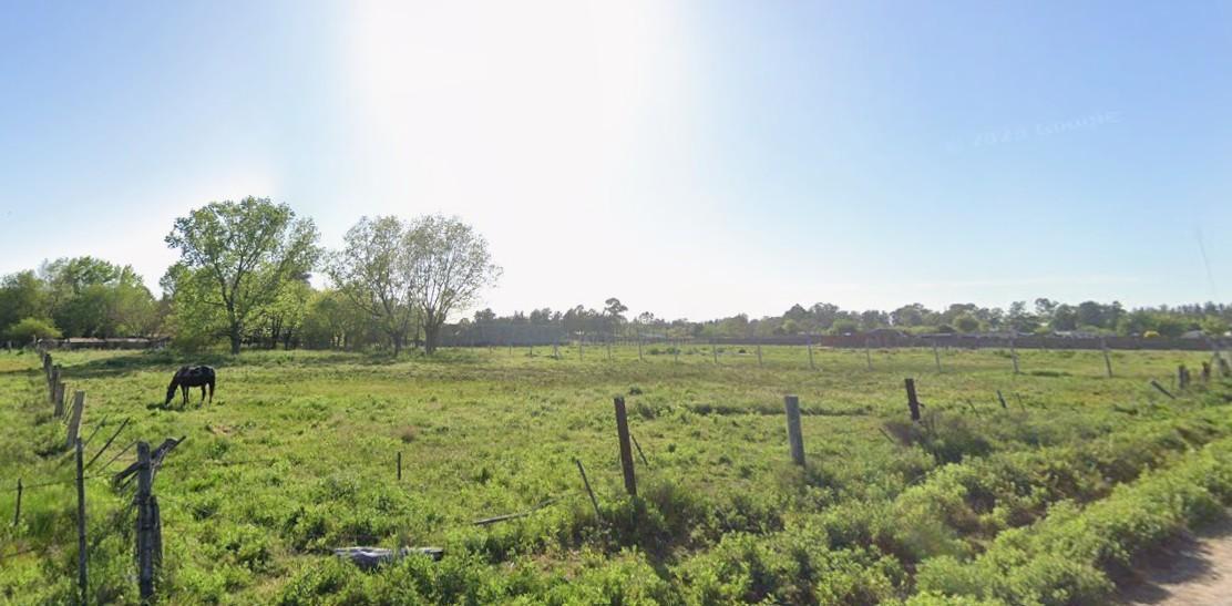 Foto de Terreno Baldio en venta en Virey del Pino, imagen 4