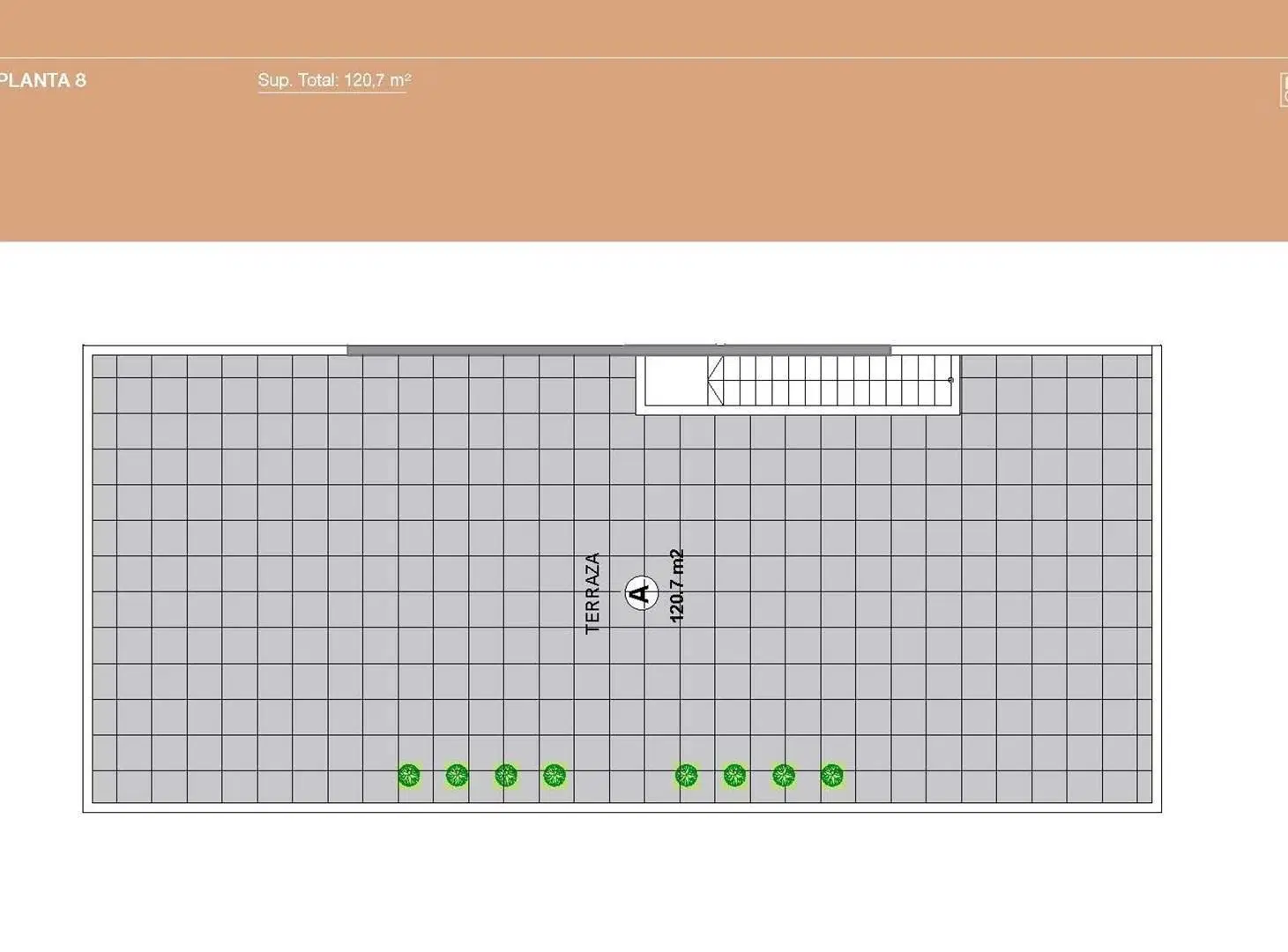Plano 5