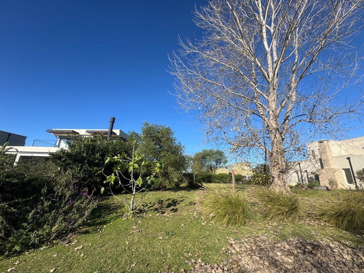 Foto de Terreno Lote en Venta en El Cantón Norte, El Cantón, Escobar, imagen 3