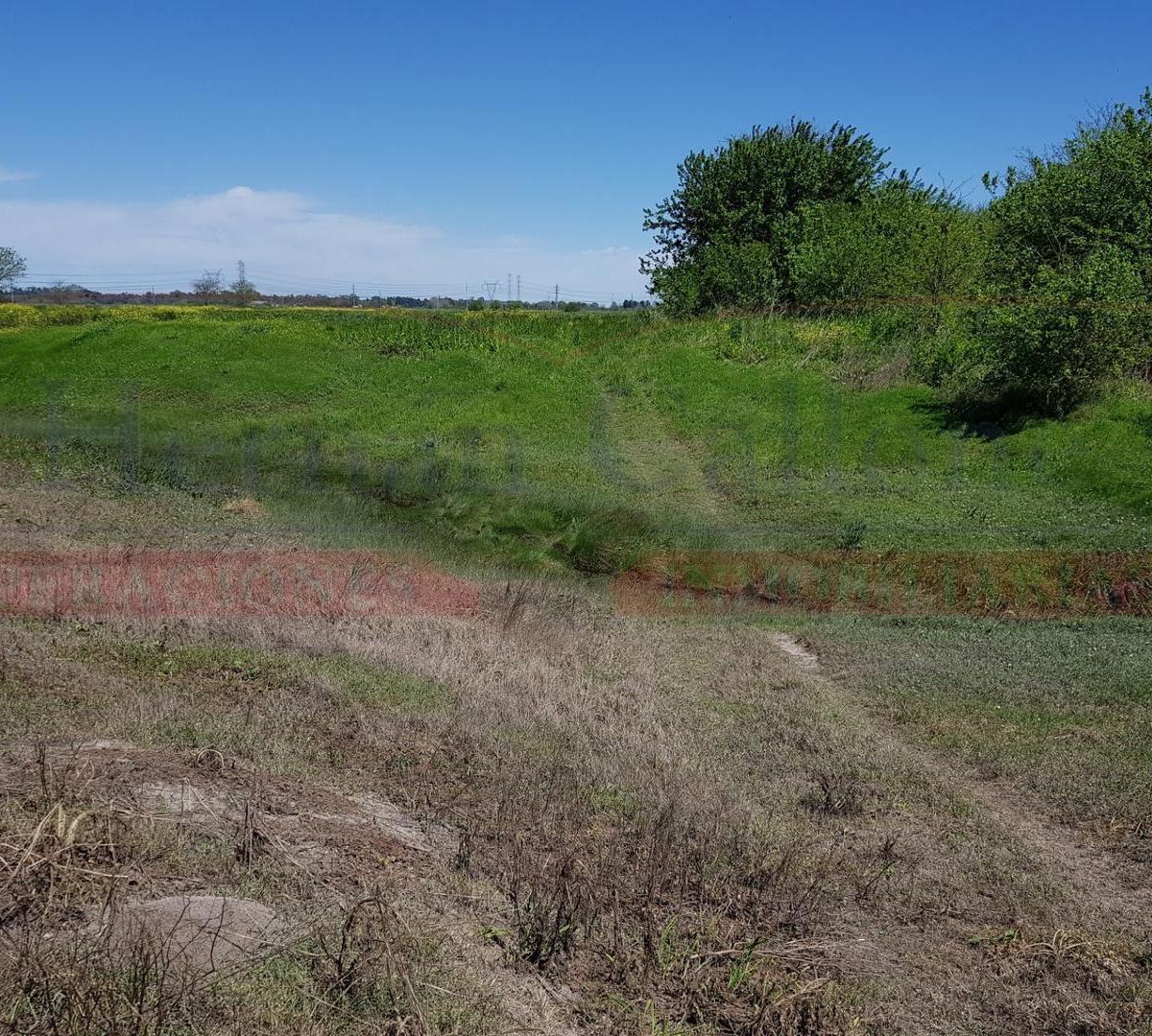 MUY BUEN CAMPO AGRÍCOLA DE 94 HAS, EN EL KM 51 DE RUTA 3