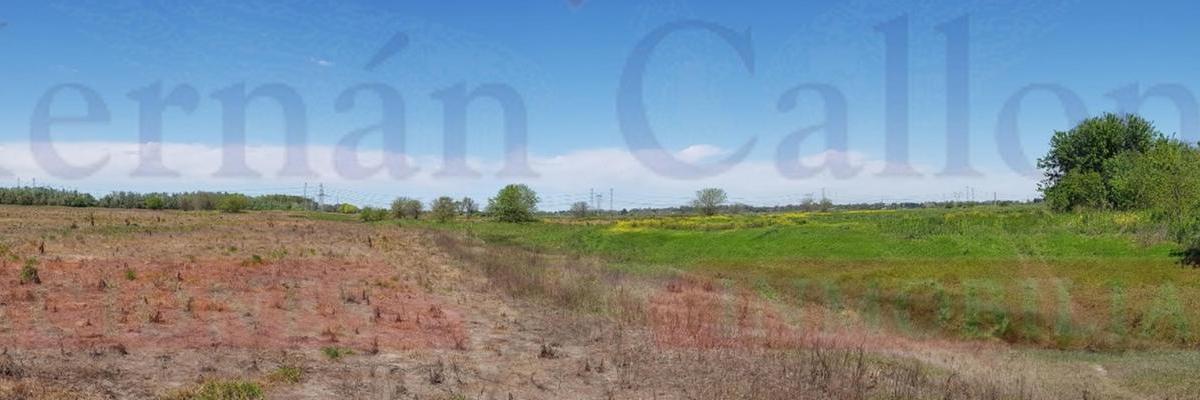 Foto de MUY BUEN CAMPO AGRÍCOLA DE 94 HAS, EN EL KM 51 DE RUTA 3, imagen 5