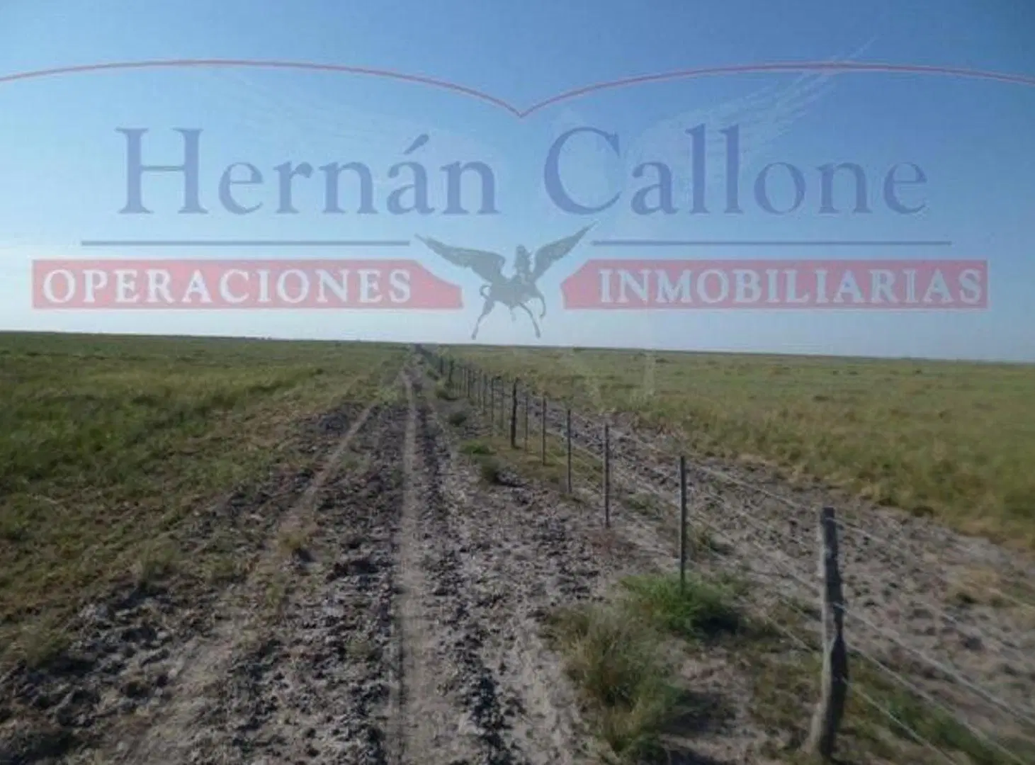Campo en alquiler. 5560 ha Santiago del Estero 4