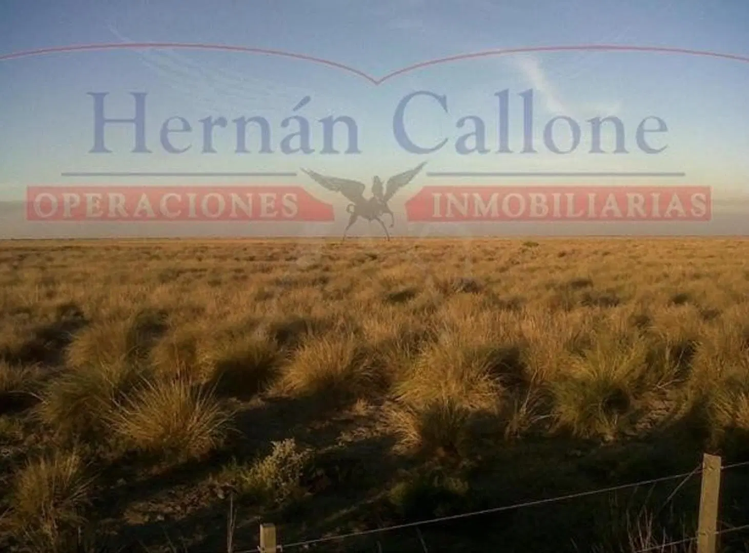 Campo en alquiler. 5560 ha Santiago del Estero 1