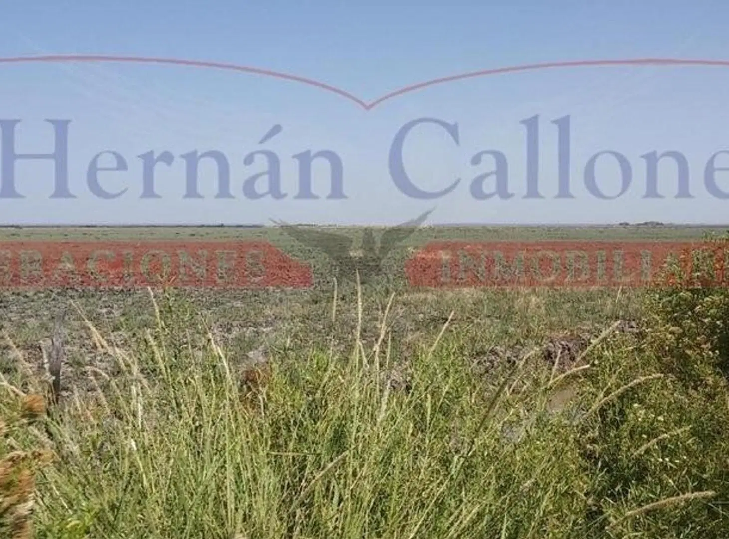 Campo en alquiler. 5560 ha Santiago del Estero 3