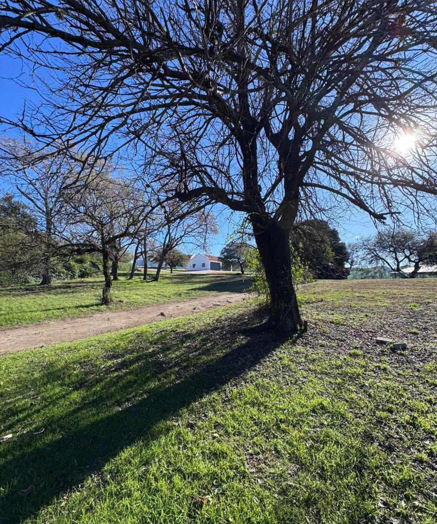 Foto de VENDO LOTE EN EL POTRERILLO DE LARRETA OPORTUNIDAD, imagen 2