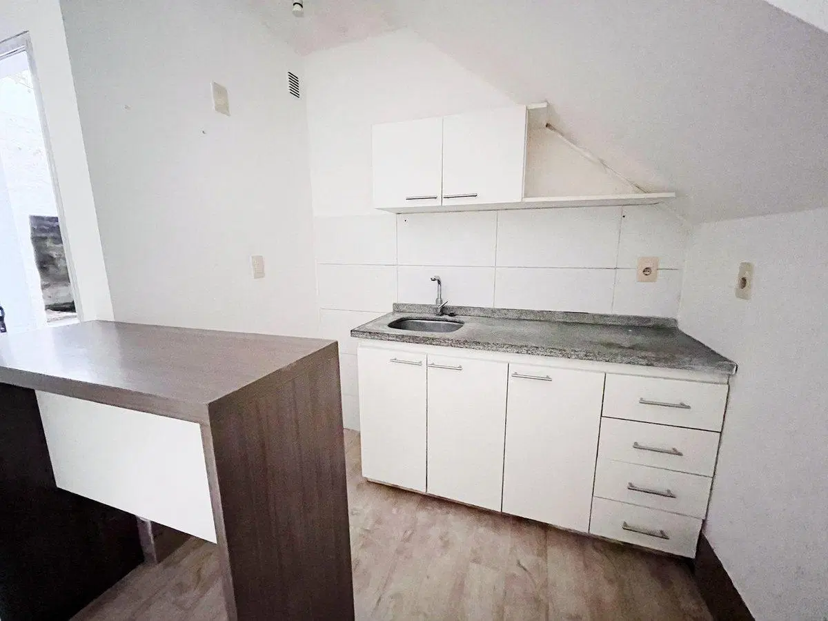 Alquiler Apartamento 1 Dormitorio Parrillero Buceo 5