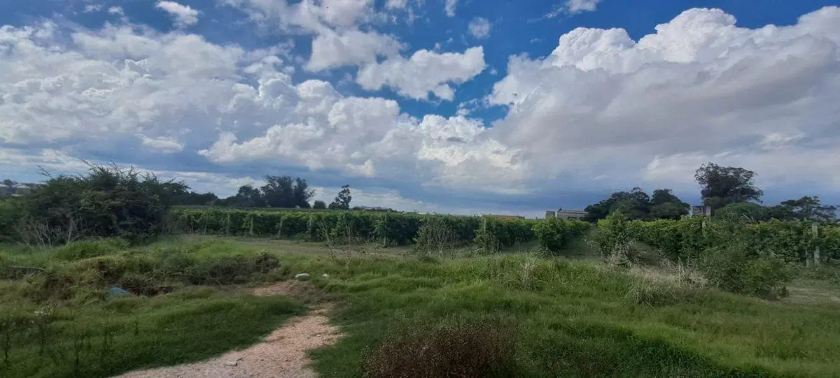 Venta terreno logístico industria Bajo la Petisa 4