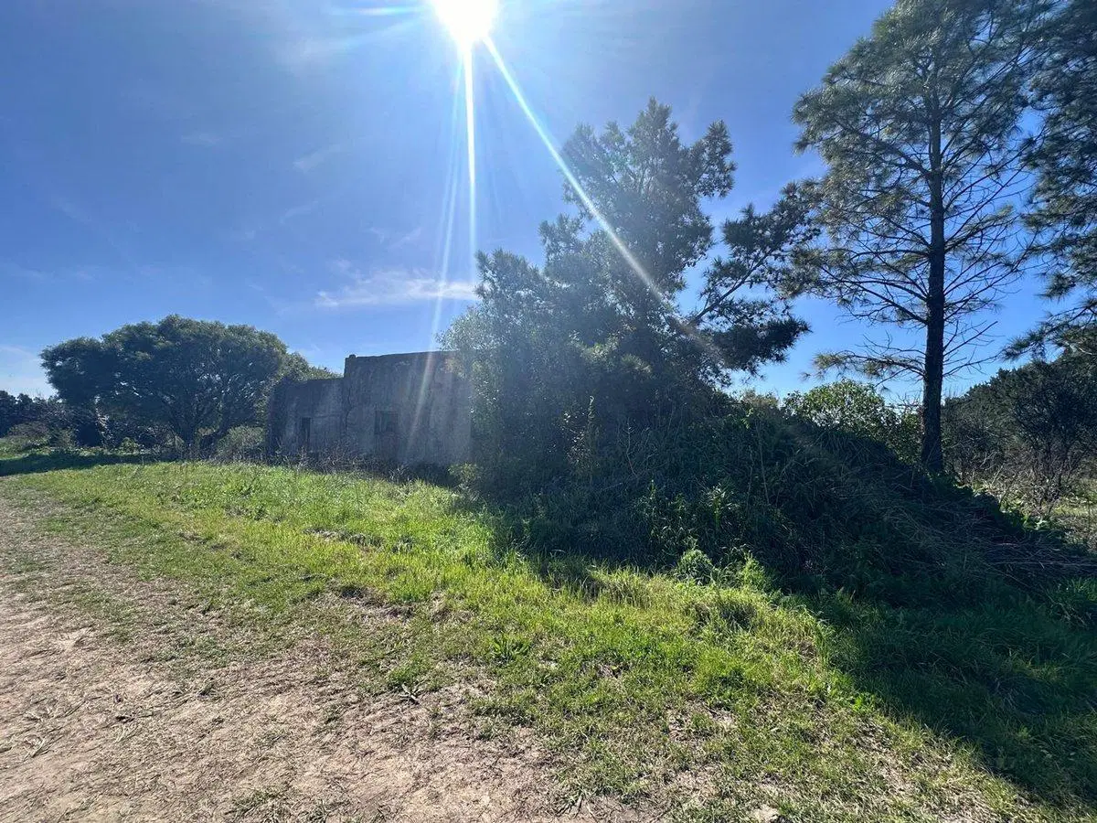 Venta de Campo de 2.82 hectáreas Camino Garcés 4