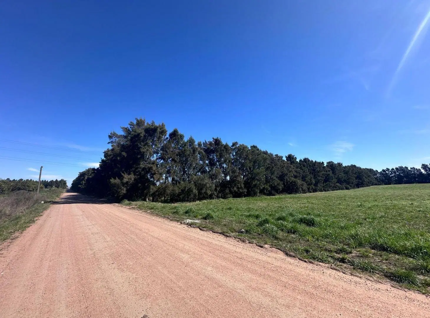 Venta de Campo de 2.82 hectáreas Camino Garcés 3
