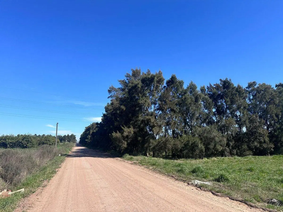 Venta de Campo de 2.82 hectáreas Camino Garcés 5