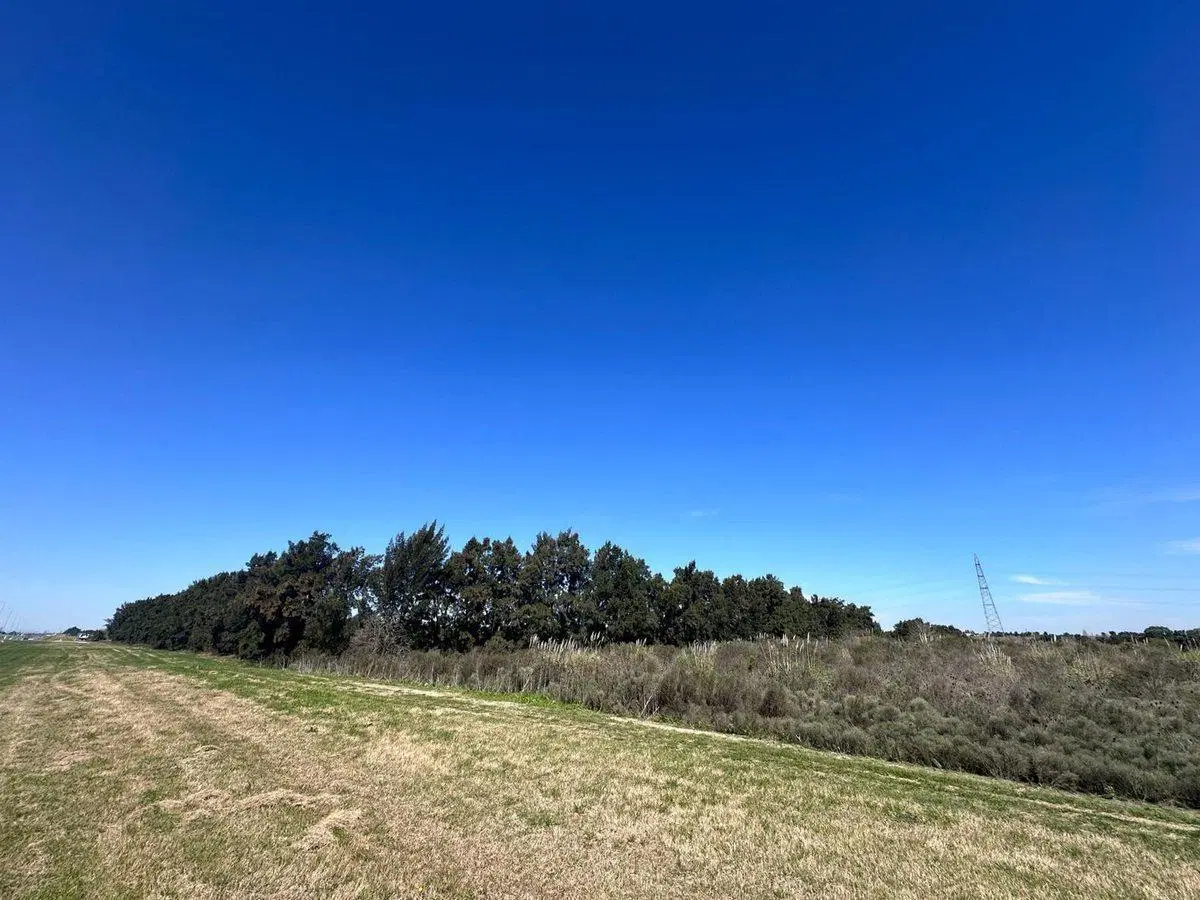 Venta campo en Ruta 1 Kilometro 16 3
