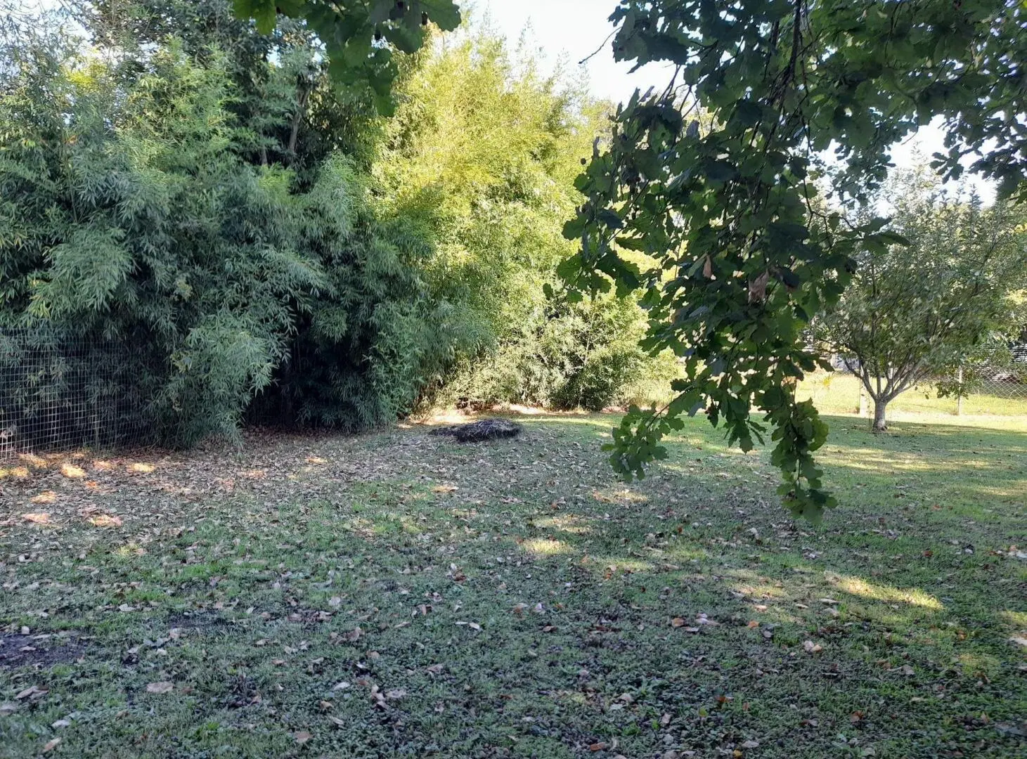 VENTA CASA EN NUEVA HELVECIA 4