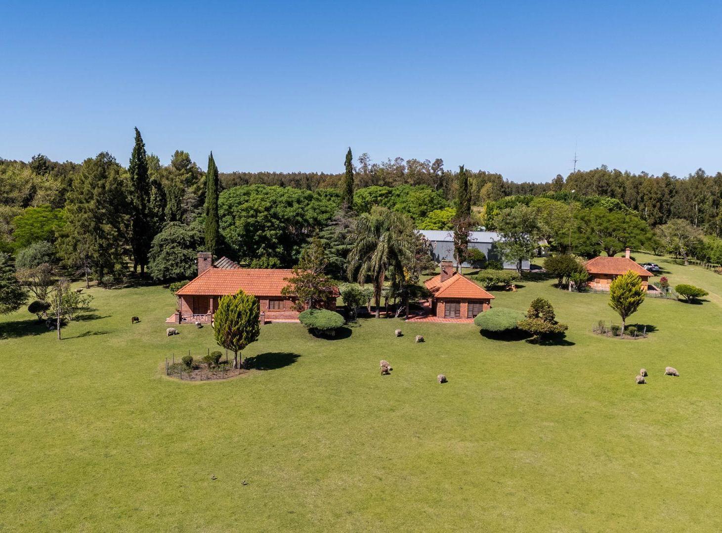 VENTA CAMPO 60H CASCO Y GALPONES EN FRAY BENTOS