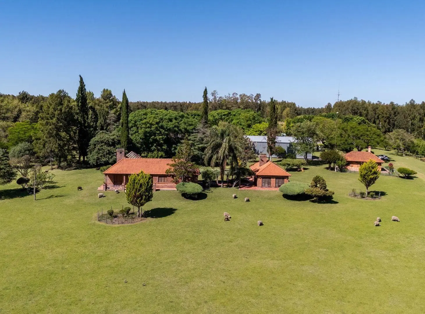 VENTA CAMPO 60H CASCO  Y GALPONES EN FRAY BENTOS 2