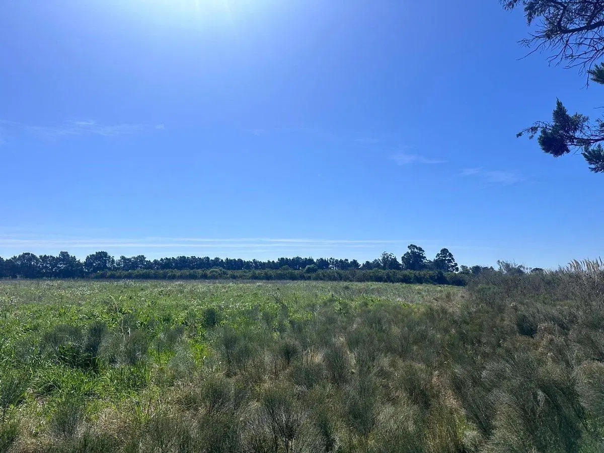 Venta de Campo en Camino Garcés y Ruta 1 5