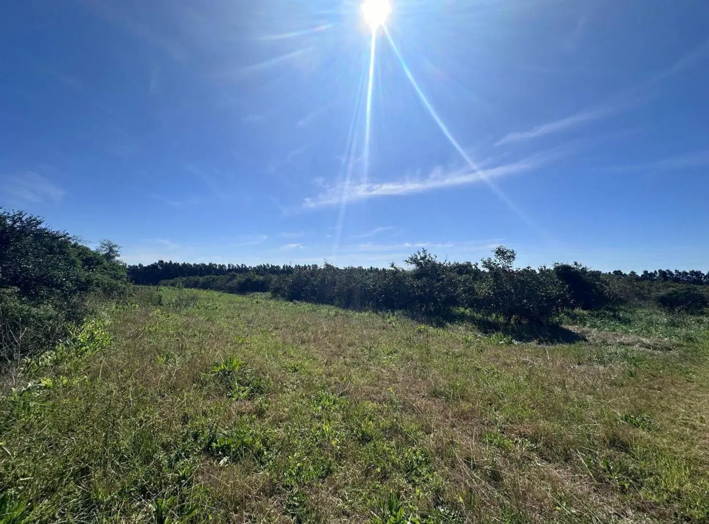 Venta de Campo en Camino Garcés y Ruta 1 2