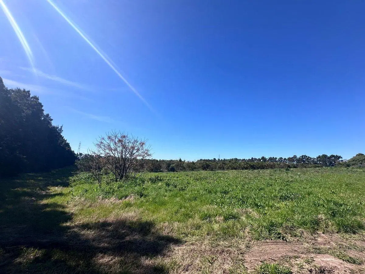 Venta de Campo en Camino Garcés y Ruta 1 4
