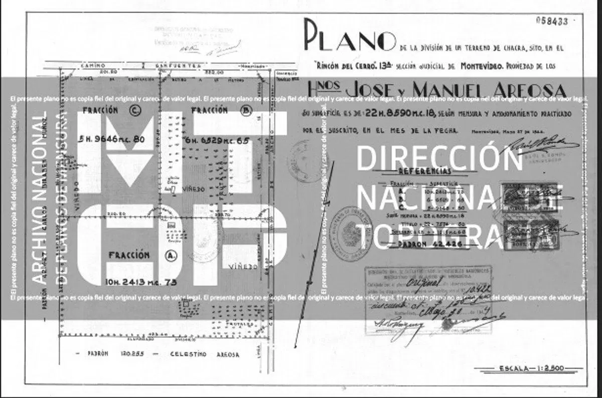 Plano 1