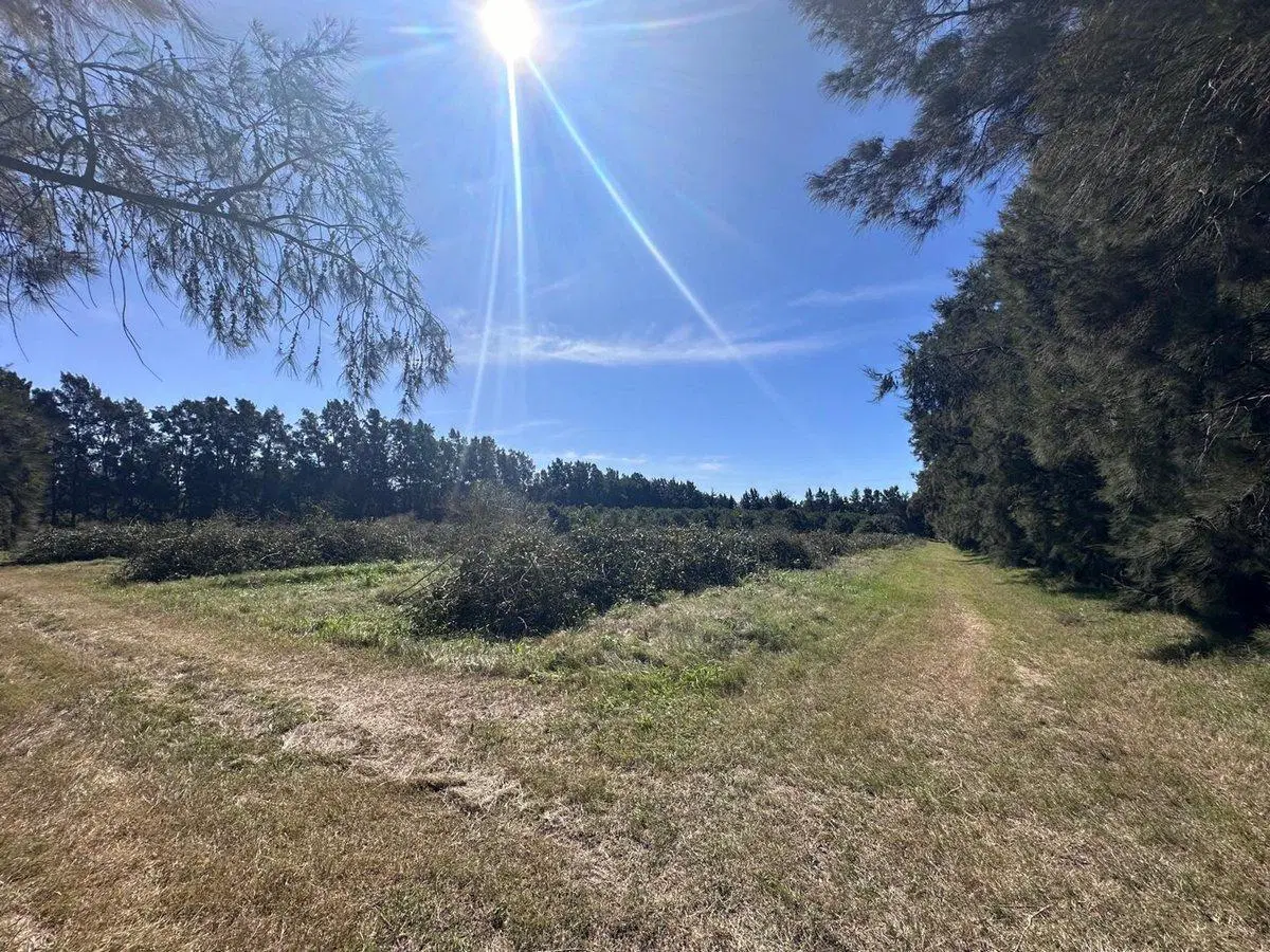 Venta de Campo sobre Ruta 1 Kilometro 16 4